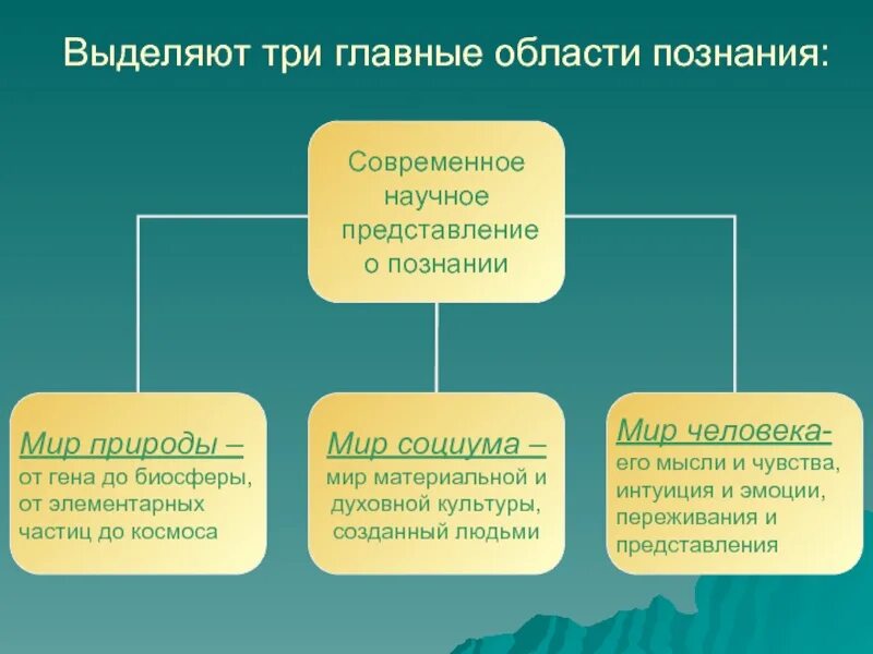 Главные области познания. Области познания в философии. Главные области познания в философии. Сферы научного познания. Современное научное знание