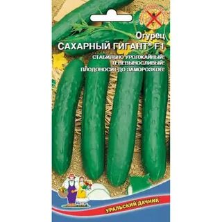 Сахарный огурец