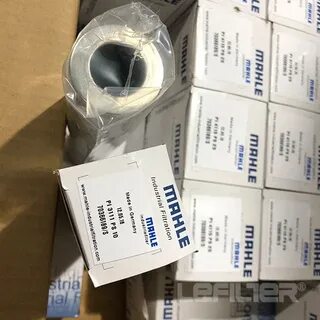 Mahle pi