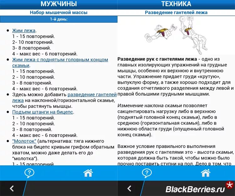 Программа для набора мышечной массы. План тренировок для набора мышечной. Программа тренировок для набора массы. График тренировок для набора мышечной массы.