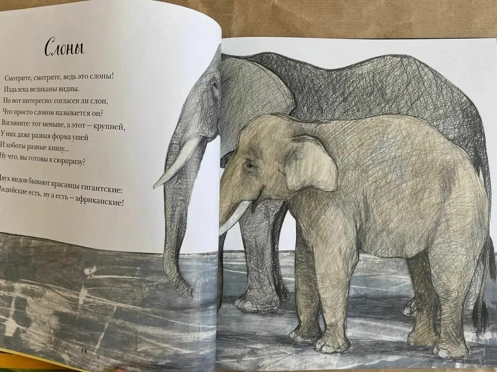 Коллекция притч о животных. Красивая книга о животных. самая красивая книга о животных. красивая книга о животных миф. книги про животных 2025.