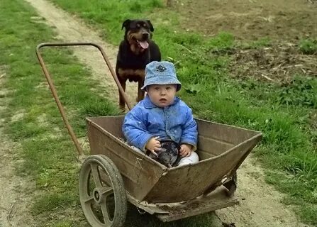 Сельский мальчик едет в город