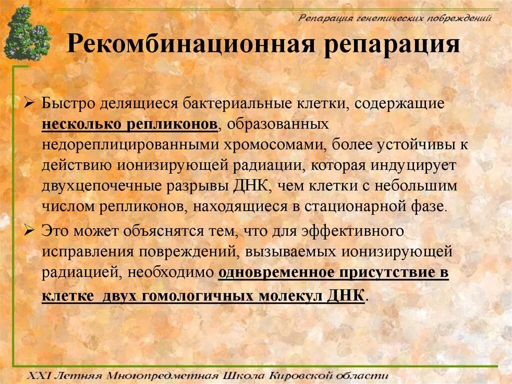 Репарация днк одноцепочечные. Пострепликативная (рекомбинантная) репарация. Схема рекомбинативной репарации днк. Рекомбинационная репарация. Схема процесса репарации.