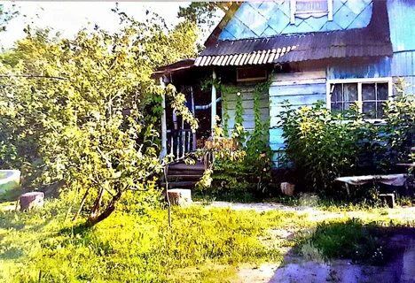 Снт апраксин ленинградская область