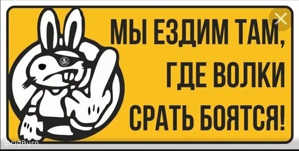 Правила для велосипедистов. Где можно кататься на велосипеде. Картинки где можно кататься на велосипеде. Там где волки. Основные пдд для велосипедистов.