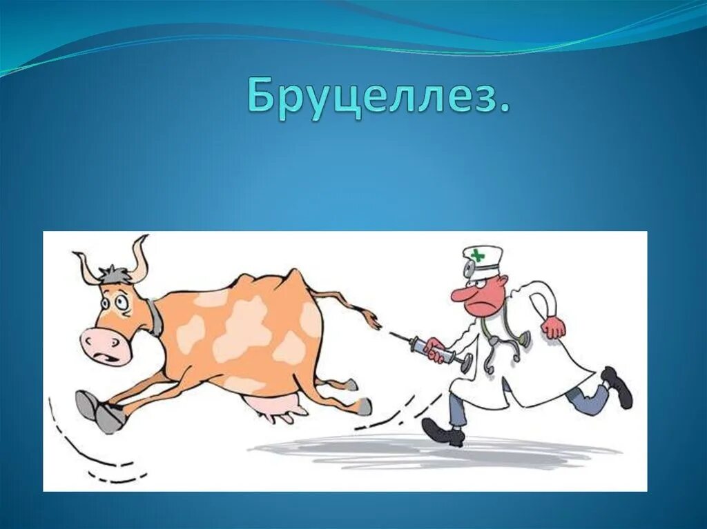 Бруцеллез презентация. ,Ehjwttp. Вруцелето. Бруцеллез животных презентация.