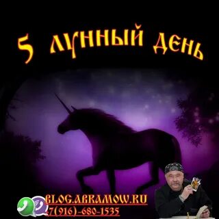 5 лунные сутки