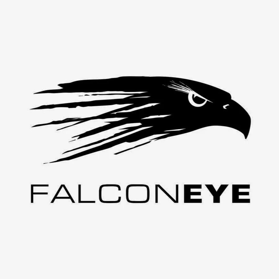 Falcon s eye. Vulture's eye nethack. Nethack графические интерфейсы. Falcon s eye. Nethack: falcon's eye.