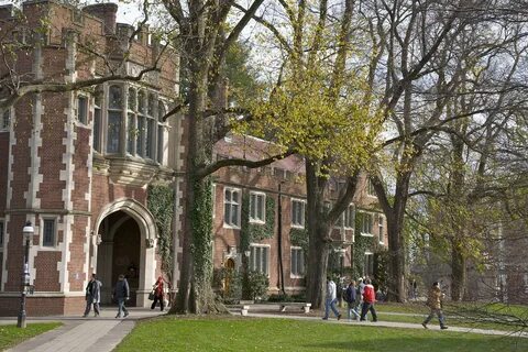 Princeton university
