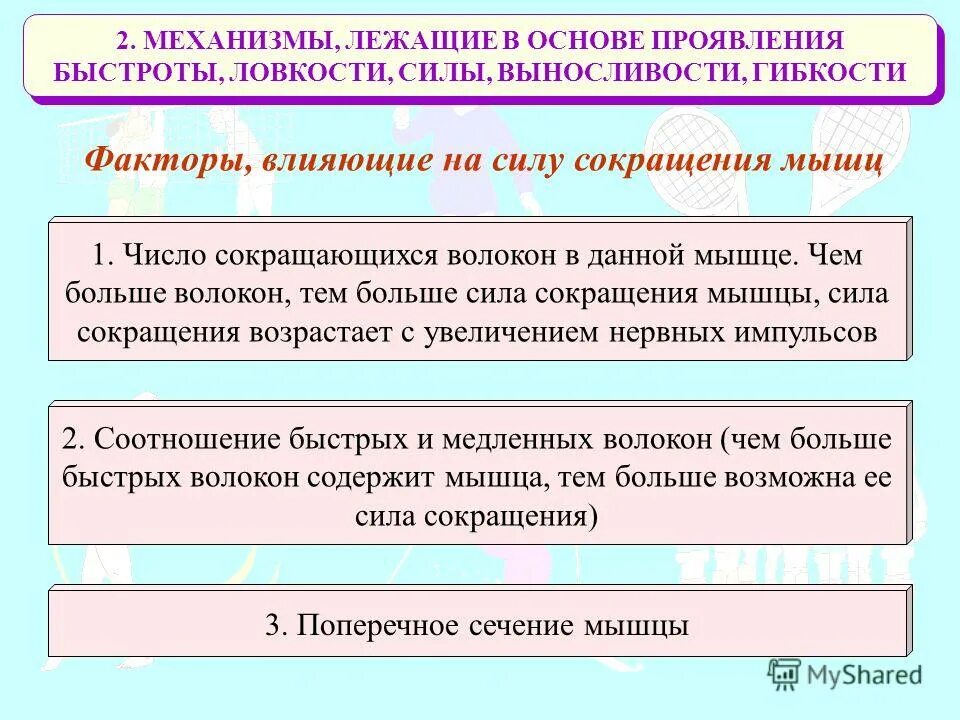 Какие механизмы лежат в основе формирования человеческих рас. Что является фундаментом формирования речи. Физиологические механизмы развития физических качеств гибкости. Механизмы проявления выносливости. Какие механизмы лежат в основе формирования человеческих.