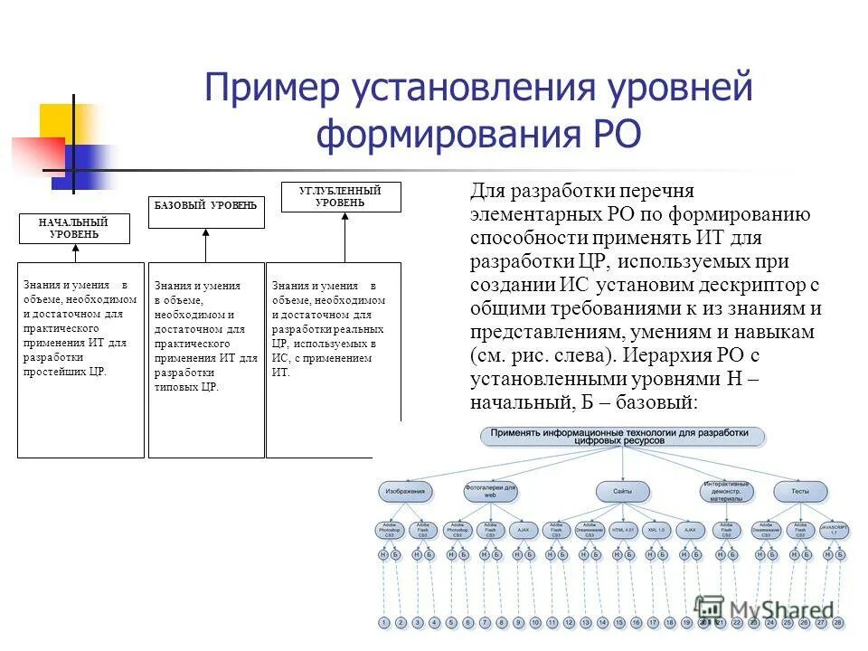 Развитие в биологии примеры