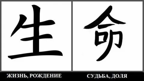 Жизнь на китайском языке