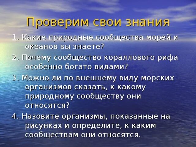 Природное сообщество море. Жизнь организмов в морях и океанах. Сообщества морей и океанов. Сообщества организмов в океане. Каковы особенности живых организмов в океане