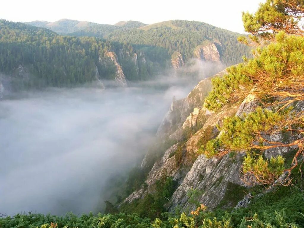 южно уральский государственный природный заповедник гора ямантау. башкирский государственный заповедник в бурзянском районе. хребет зигальга южный урал. южноуральский заповедник в башкирии. южноуральский государственный природный заповедник.
