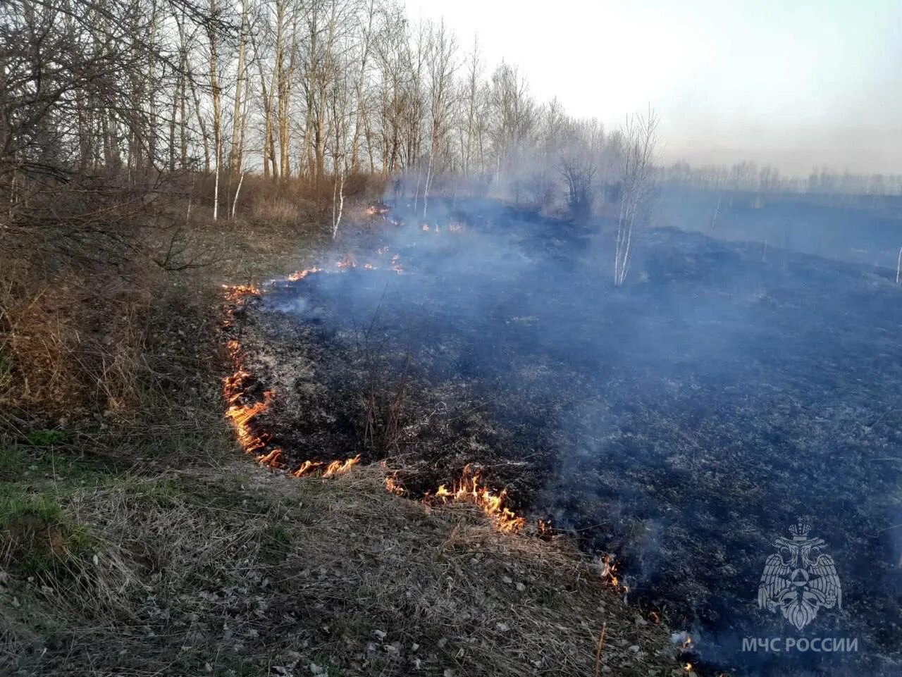 Что горит в липецке