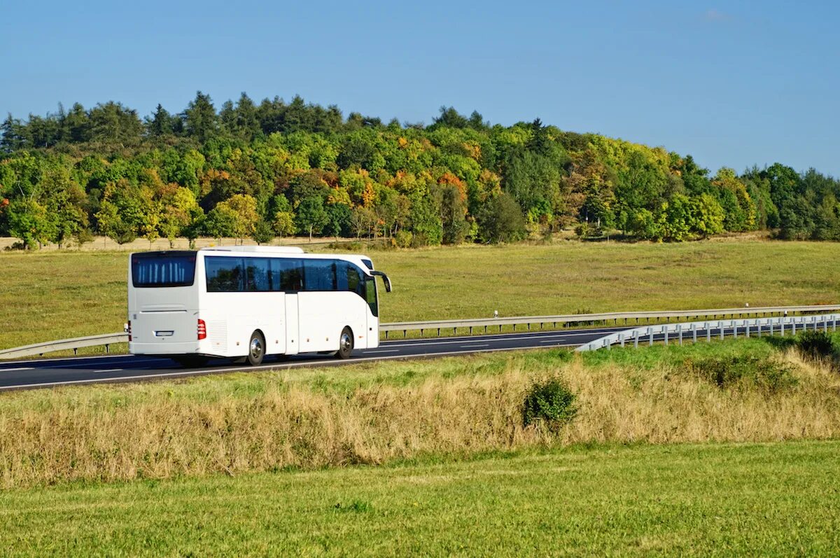 Русская дорога автобусы