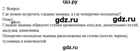 Биология 8 класс драгомилов параграф 2