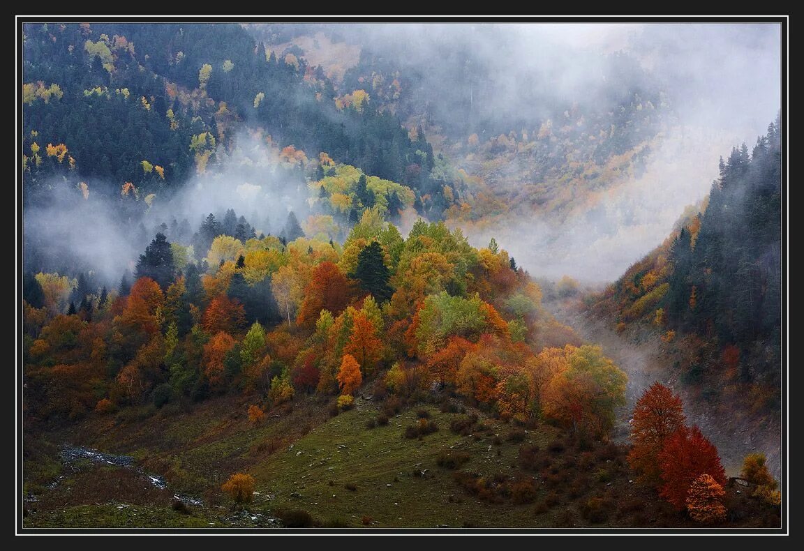 А где там далеко за туманами песня. Карпаты Кавказ. За туманом. Космач природа. А Я еду за туманом.