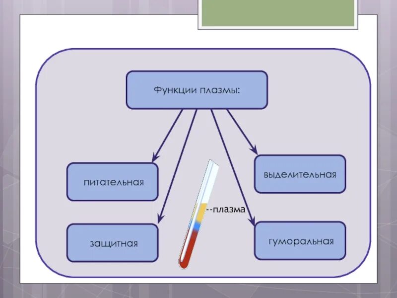 Функция плазмы крови человека. Функции плазмы крови. Плазма крови функции плазмы. Какую функцию выполняет плазма. Роль плазмы крови в организме человека.