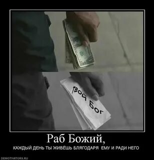 Готовы на все ради денег