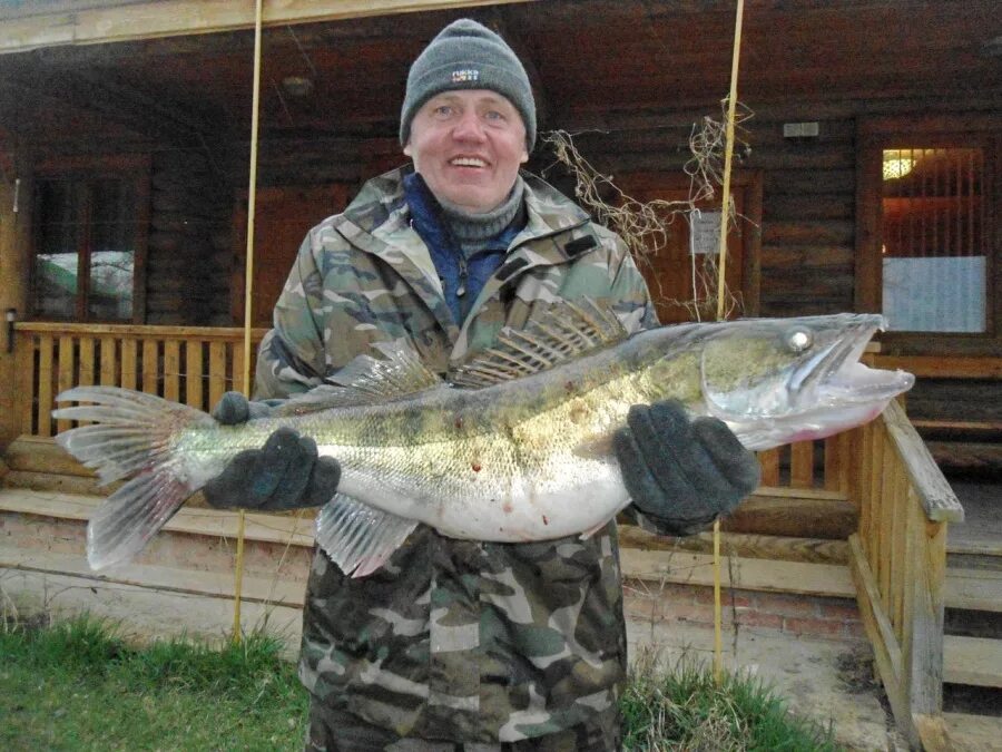 Большая рыбалка астрахань вконтакте. World Fish рыболовная база Харабали. Рыб база ворд Фиш. Рыбалка в Астрахани. База в Астрахани рыбалка.