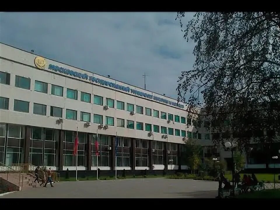 Московский университет культуры и искусств. Московский государственный институт культуры химки. Московский государственный университет культуры мгук. Московский университет культуры и искусств. Общежитие мгик химки.