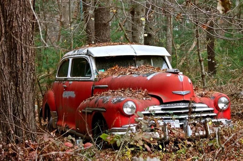Заброшенная шевроле камаро. Старые заброшенные автомобили. Abandoned cars. Заброшенные машины. Заброшенные американские автомобили.