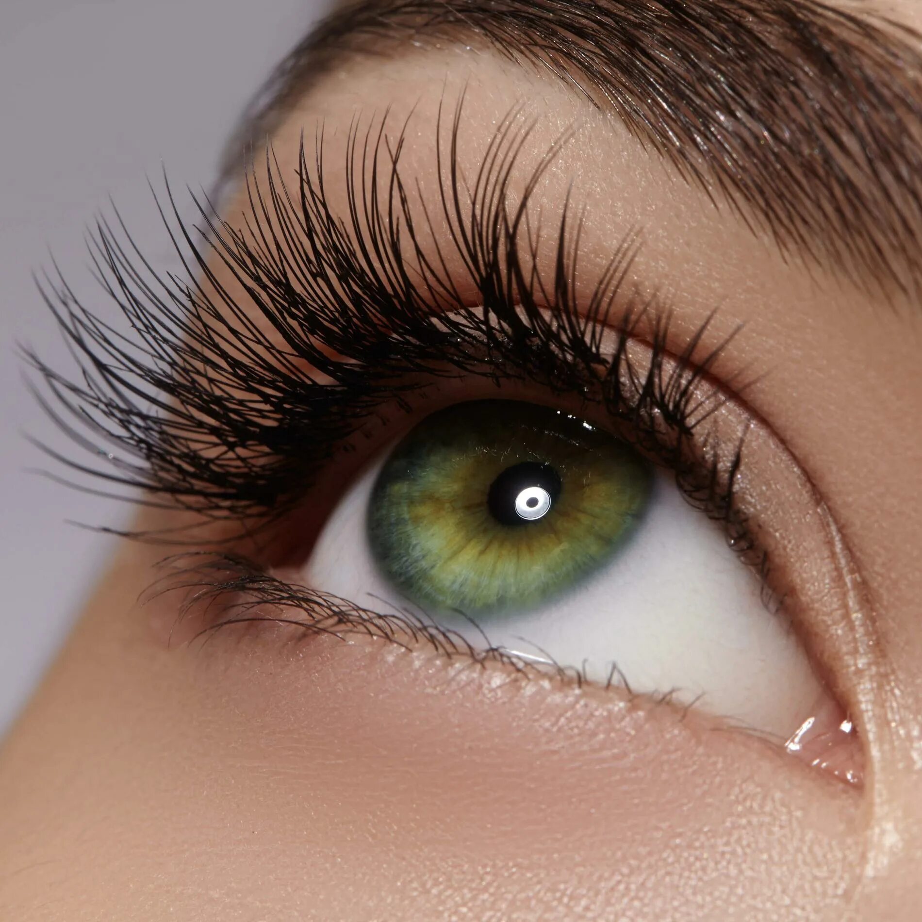 Get lashes