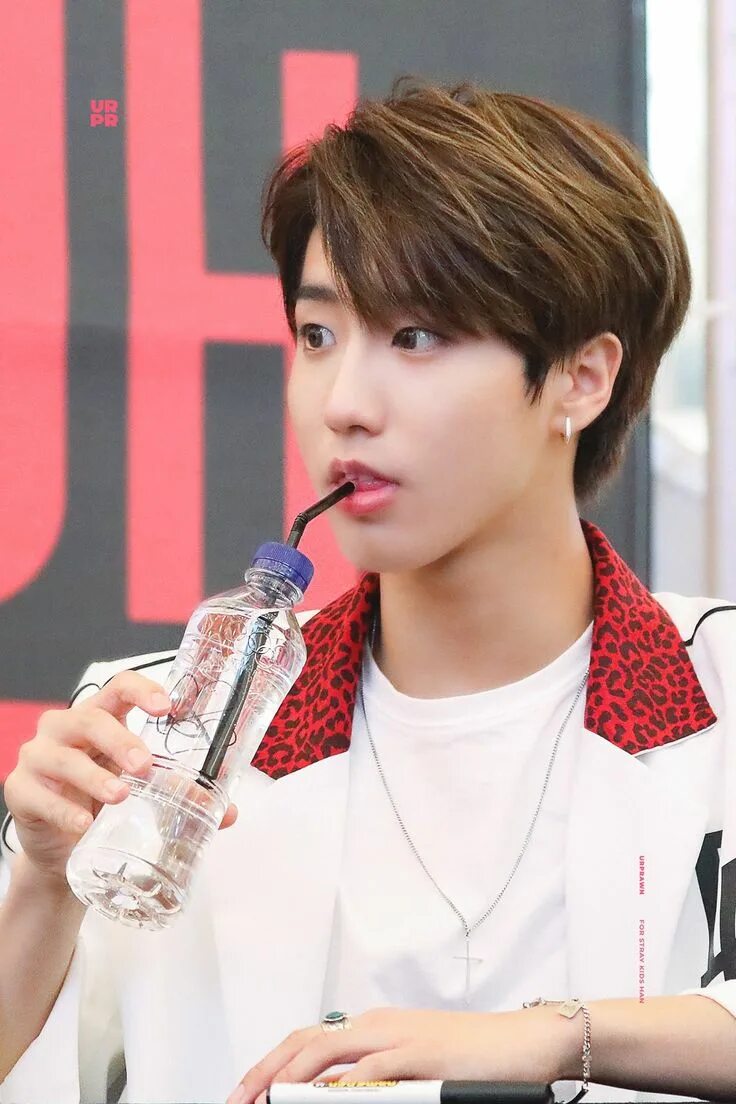 Джисон stray kids. Джисон stray kids. Стрейкидс хан джисон. Джисон stray kids. Джисон стрэй.