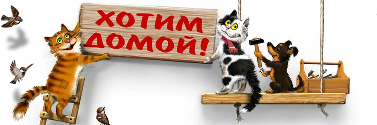Хочу быть домашним