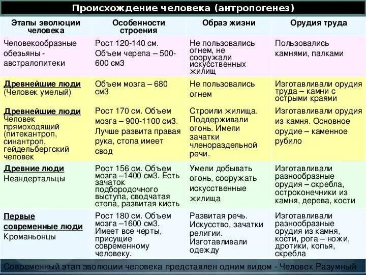 Тест по теме антропогенез. Характеристика стадий антропогенеза таблица. происхождение и эволюция человека антропогенез таблица. таблица антропогенез 9 класс биология. этапы антропогенеза таблица.