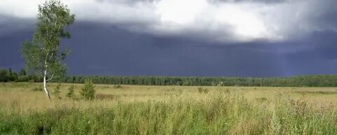Погода в деревне неверово слобода