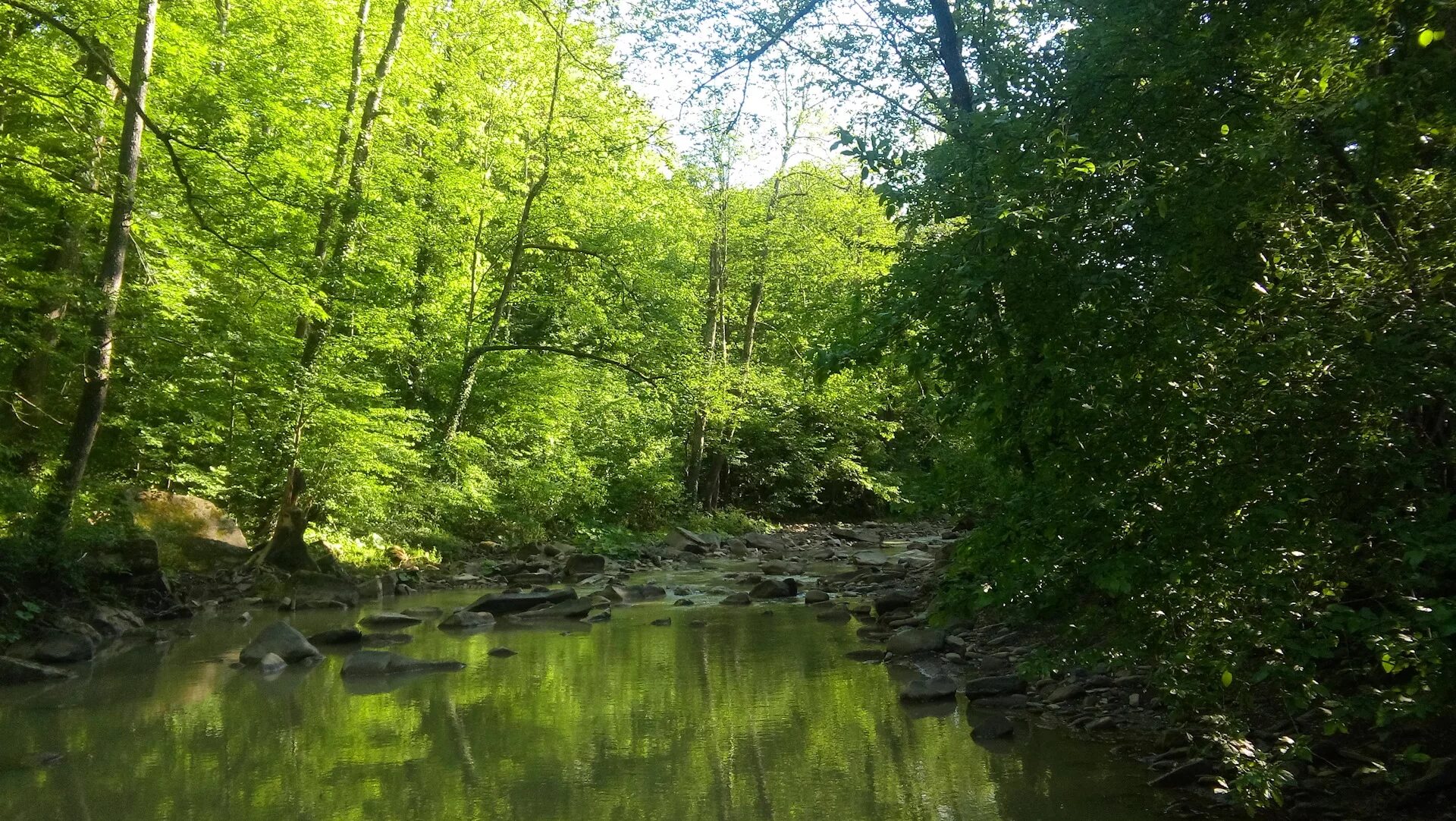 Планческие скалы краснодар. Планческие скалы планческая щель. Планческая щель. Планческие скалы северский район. Турбаза планческие скалы северский район.