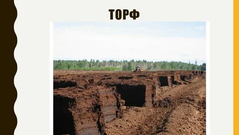 Его добывают на болотах