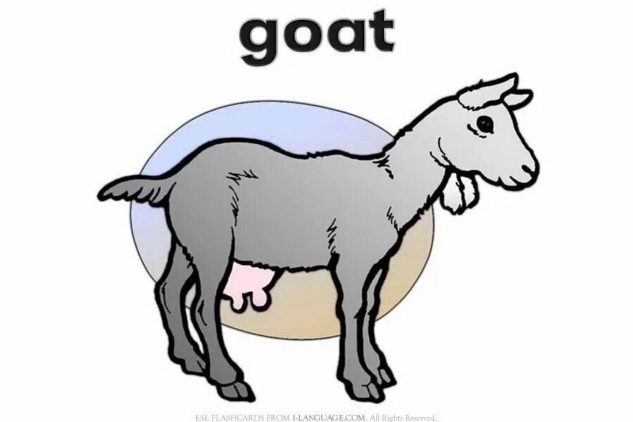 Goat карточка. Козел по английский. Flashcards Goat для детей. Goat надпись. Goat com