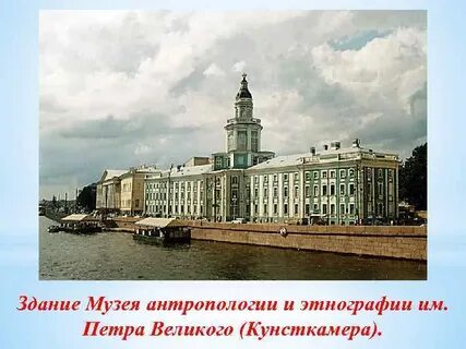 Кунсткамера была открыта в