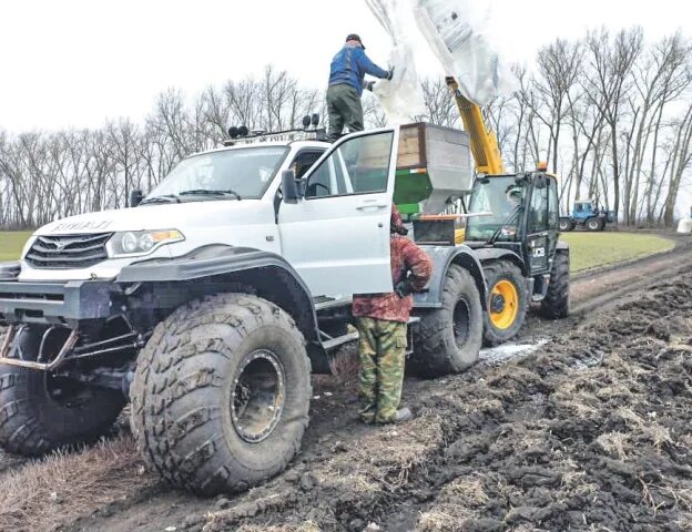 Погода колбино репьевского