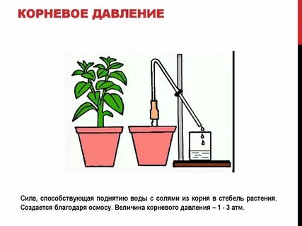 На представленном рисунке показан опыт иллюстрирующий