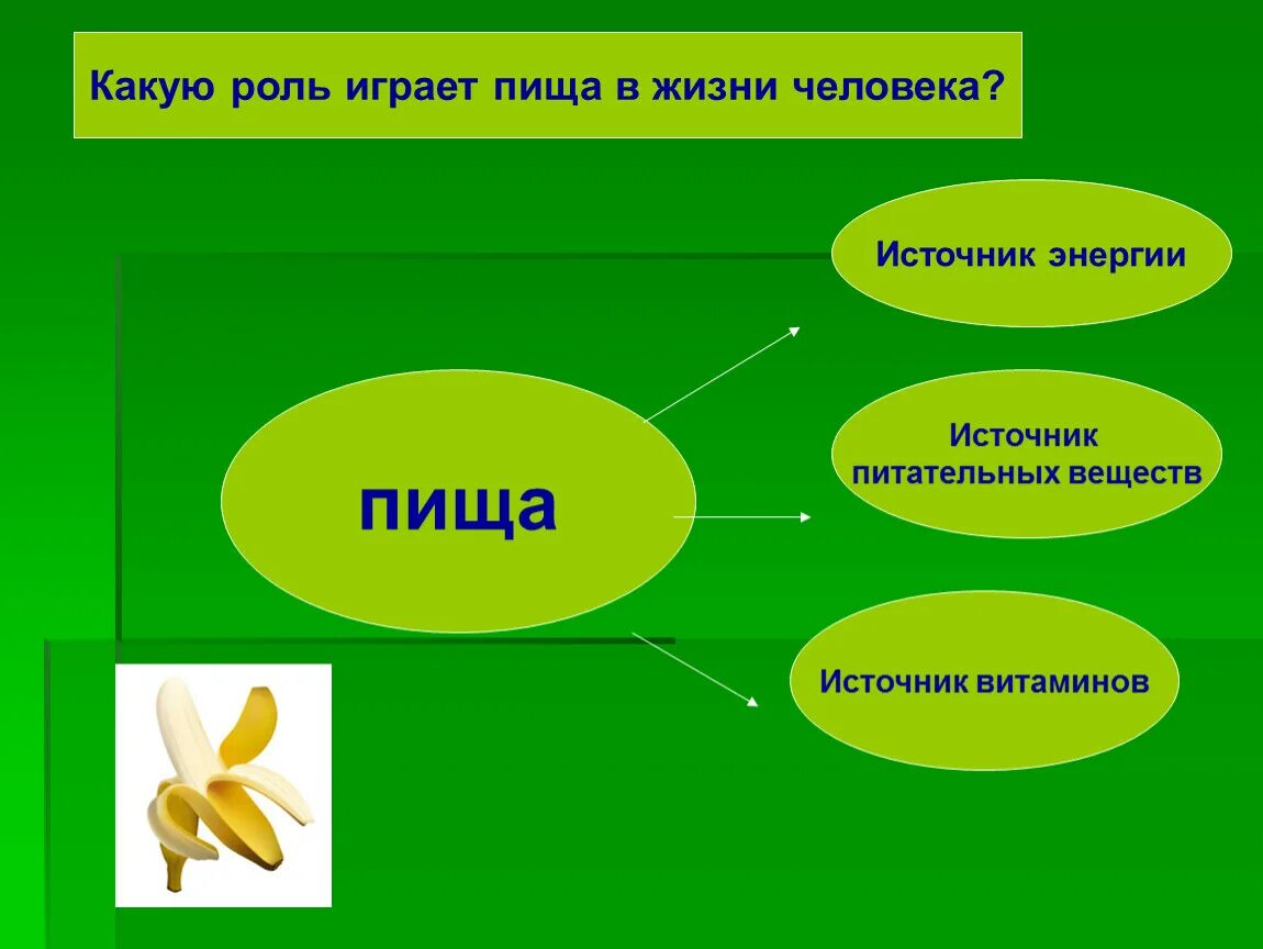 Пища в жизни человека. Роль пищи в жизни человека. Роль питания в ини человека. Какую роль играет питание в жизни человека.