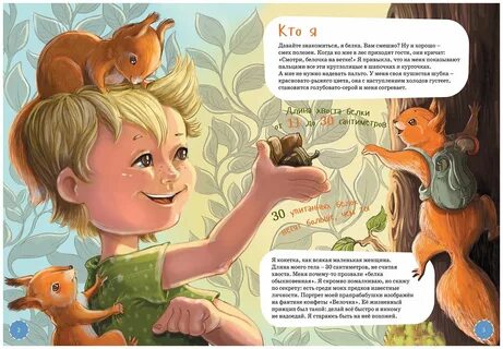 Книга белка