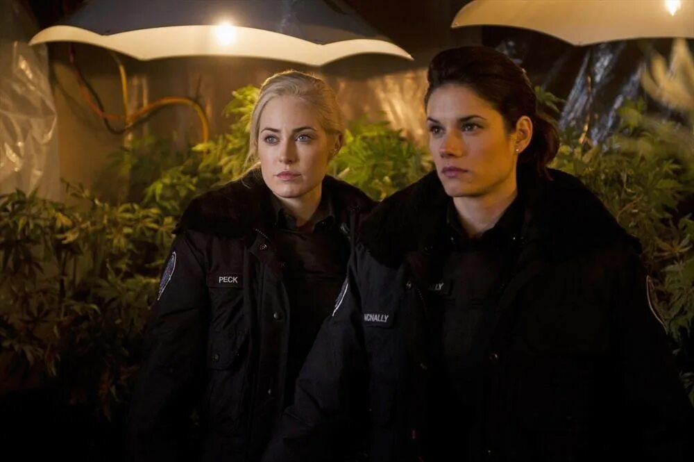 Копы 4. Missy peregrym rookie blue. Гта 4 полиция. Мисси перегрим фбр. Мисси перегрим гимнастка.