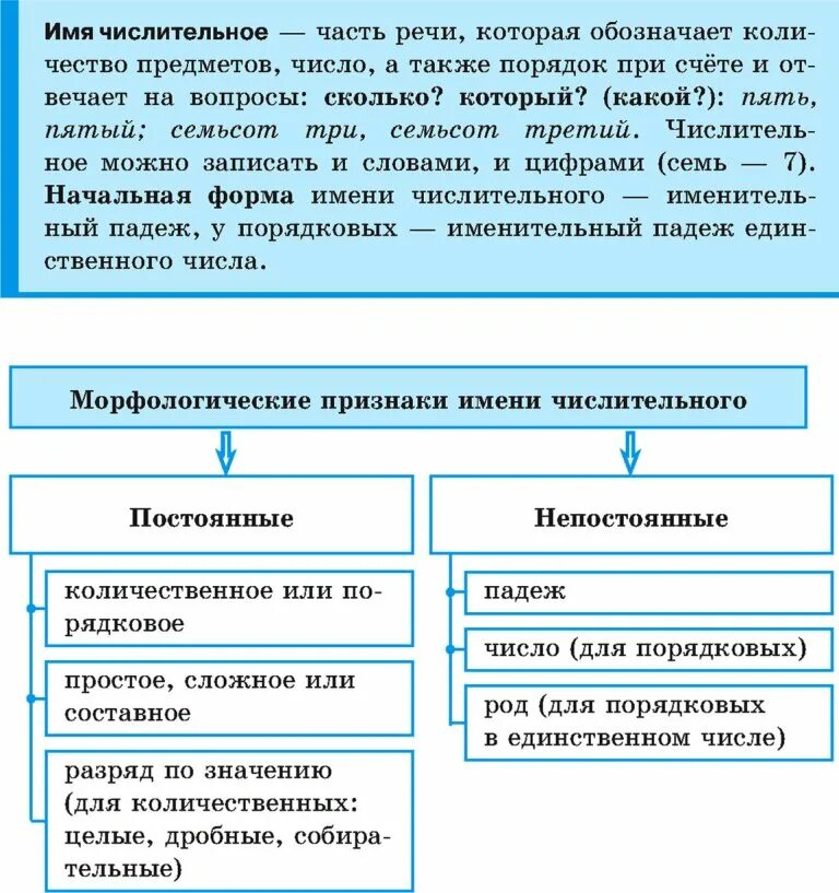 Морфологические признаки числительного. Признаки числительного. Числительное морфологические признаки. Непостоянные морфологические признаки имени числительного. Морфологические признаки порядковых числительных