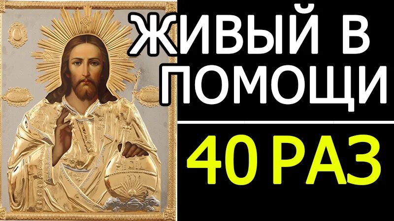 Живый в помощи. Псалом 90 40 раз. Живый в помощи 40 раз 90 Псалом. Живый в помощи Вышняго молитва.