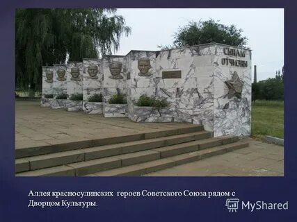 День красного сулина