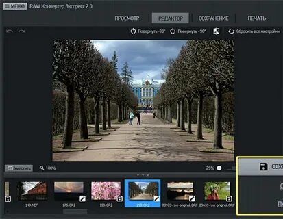 Raw viewer