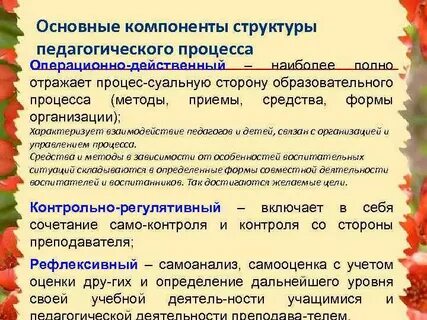 Что является основной структурной единицей педагогического процесса