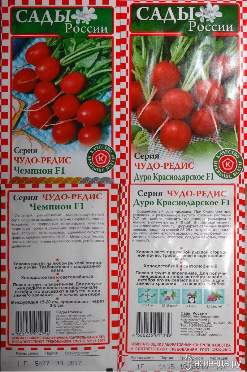 Челябинские семена овощей. Сады челябинска семена. Сады россии каталог 2021 семена. Семена сады россии каталог. Челябинские семена овощей.