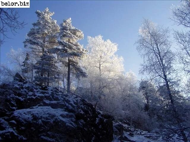 Семь братьев Белорецк зима. Фото природы окрестностей г. Белорецка. Межгорье Белорецк природа. Семь братьев Белорецк фото. Белор белорецк