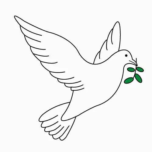 Рисунок голубей на 23 февраля. Голуби в городе рисунок. Голубь эскиз. Голубь раскраска. Рисунок голубей на 23 февраля.