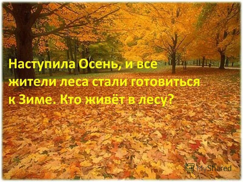 выдели второстепенные члены в распространённых предложениях. осень настала. заканчивается лето и начинается осень. распространённое и не распространённое предложение. наступила осень распространить предложение.